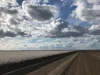 Auburn, Spring Plains, NSW 2388-Image