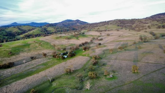 "AVOCA" Presses Road, Willow Tree, NSW 2339