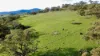 "AVOCA" Presses Road, Willow Tree, NSW 2339-Image