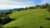 "AVOCA" Presses Road, Willow Tree, NSW 2339-Image