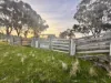 "AVOCA" Presses Road, Willow Tree, NSW 2339-Image