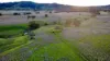 "AVOCA" Presses Road, Willow Tree, NSW 2339-Image