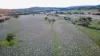 "AVOCA" Presses Road, Willow Tree, NSW 2339-Image