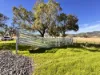 "AVOCA" Presses Road, Willow Tree, NSW 2339-Image