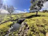"AVOCA" Presses Road, Willow Tree, NSW 2339-Image