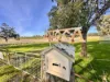 "AVOCA" Presses Road, Willow Tree, NSW 2339-Image