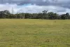 , Bangham SA 5268-Image