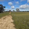 , Bangham SA 5268-Image