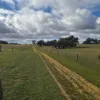 , Bangham SA 5268-Image