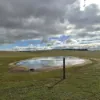 , Bangham SA 5268-Image