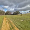 , Bangham SA 5268-Image