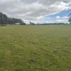 , Bangham SA 5268-Image