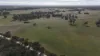 , Bangham SA 5268-Image