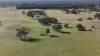 , Bangham SA 5268-Image