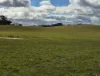 , Bangham SA 5268-Image