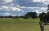 , Bangham SA 5268-Image