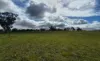 , Bangham SA 5268-Image