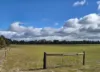 , Bangham SA 5268-Image