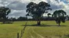 , Bangham SA 5268-Image