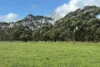 . Barretts Road, Naringal East, Vic 3277-Image