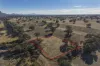 Bellicourt Road, Dunkeld, Vic 3294-Image