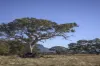 Bellicourt Road, Dunkeld, Vic 3294-Image