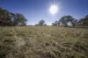 Bellicourt Road, Dunkeld, Vic 3294-Image
