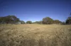 Bellicourt Road, Dunkeld, Vic 3294-Image