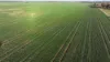 Billandrie West, Pallamallawa, NSW 2399-Image
