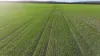 Billandrie West, Pallamallawa, NSW 2399-Image