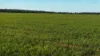 Billandrie West, Pallamallawa, NSW 2399-Image