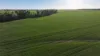 Billandrie West, Pallamallawa, NSW 2399-Image