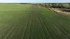 Billandrie West, Pallamallawa, NSW 2399-Image