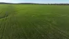 Billandrie West, Pallamallawa, NSW 2399-Image