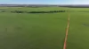 Billandrie West, Pallamallawa, NSW 2399-Image