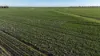 Billandrie West, Pallamallawa, NSW 2399-Image