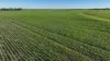 Billandrie West, Pallamallawa, NSW 2399-Image