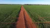 Billandrie West, Pallamallawa, NSW 2399-Image