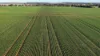 Billandrie West, Pallamallawa, NSW 2399-Image