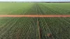 Billandrie West, Pallamallawa, NSW 2399-Image