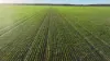 Billandrie West, Pallamallawa, NSW 2399-Image