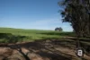 BLOCK 1 Pa Logan Road, Bealiba, Vic 3475-Image