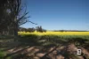 BLOCK 1 Pa Logan Road, Bealiba, Vic 3475-Image