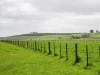 - Bond Street, Heywood, Vic 3304-Image