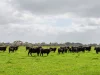 - Bond Street, Heywood, Vic 3304-Image