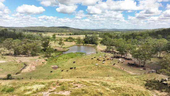 'Boomer' Rookwood Road, Gogango QLD 4702-Image