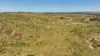 'Boomer' Rookwood Road, Gogango QLD 4702-Image