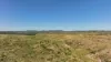 'Boomer' Rookwood Road, Gogango QLD 4702-Image