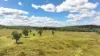 'Boomer' Rookwood Road, Gogango QLD 4702-Image