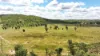 'Boomer' Rookwood Road, Gogango QLD 4702-Image